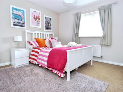 Picture 13